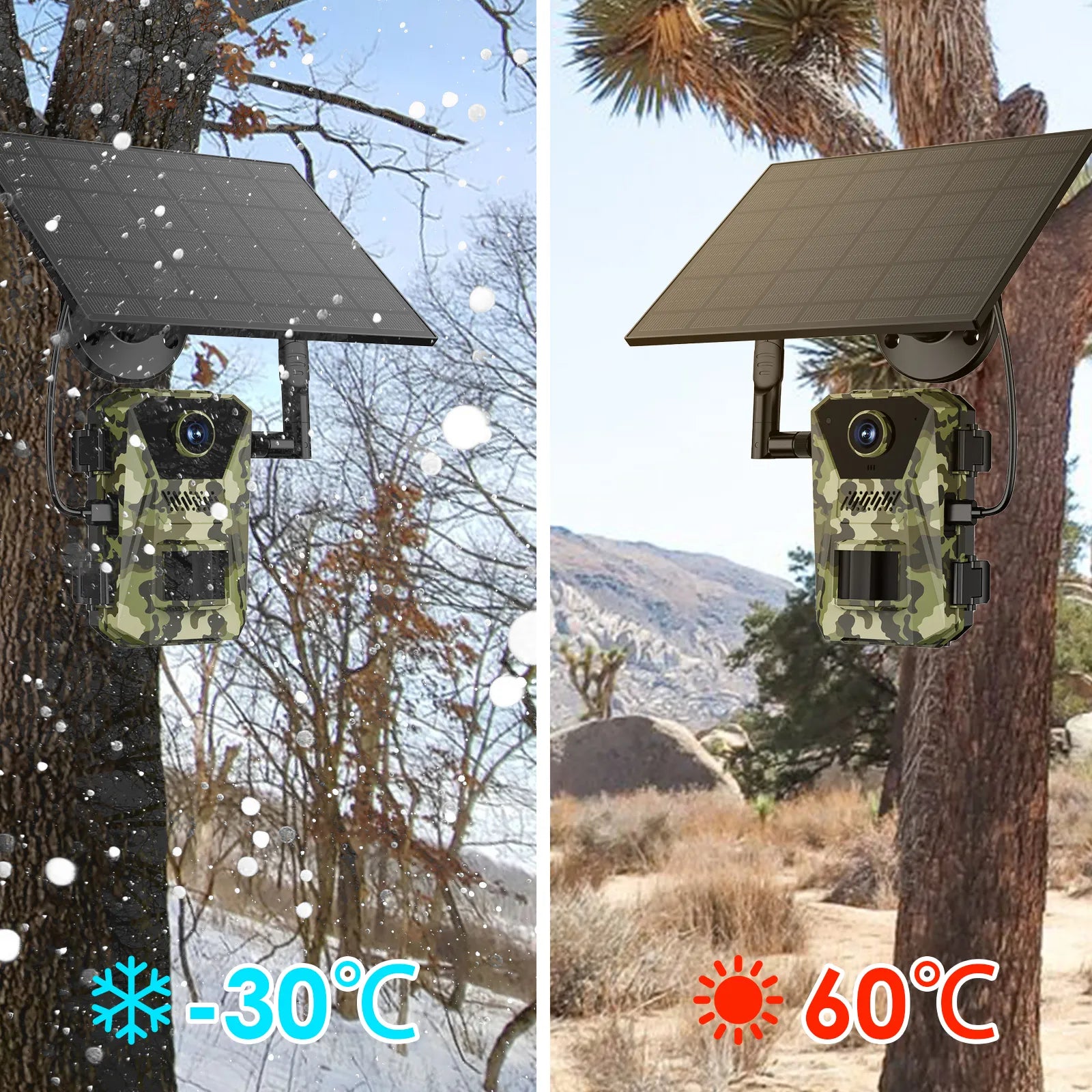 Two images of a Evoluir Trail Camera on a tree with temperature indicators showing -30°C and 60°C.