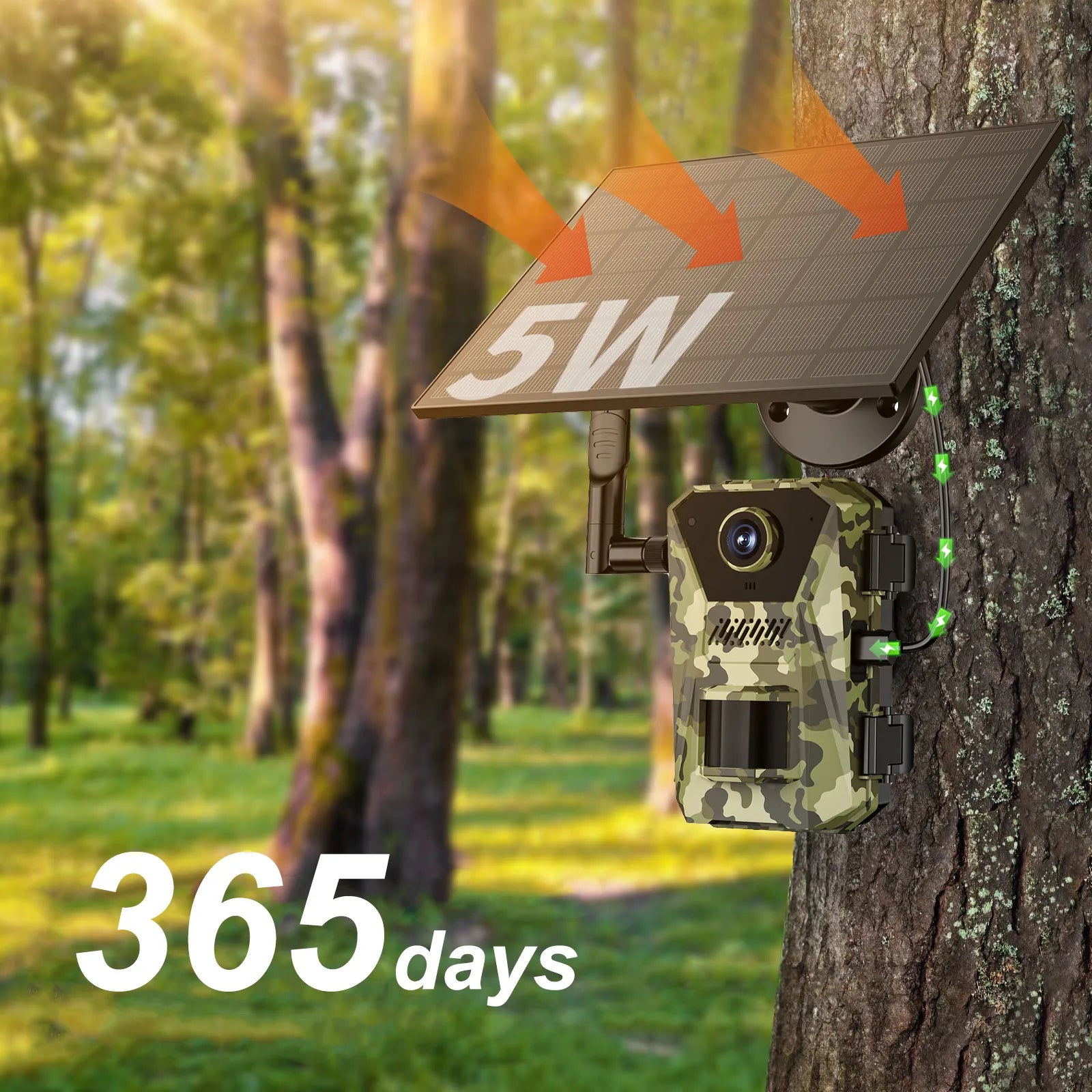 Evoluir Trail Camera with solar panel on a tree trunk in a forest setting, highlighting '365 days' and '5W'.