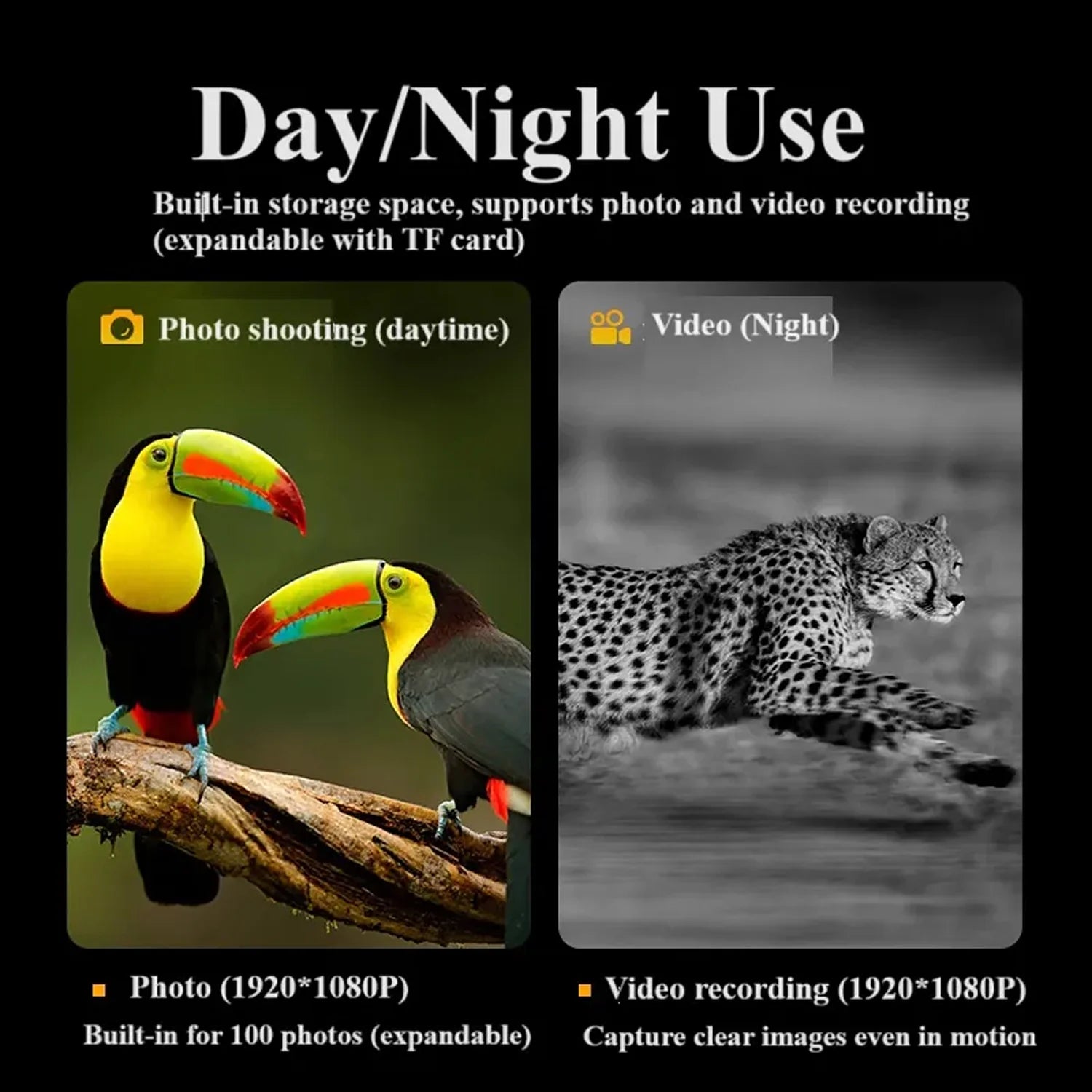 Comparison of photo and video capabilities with toucans and a leopard on a black background.