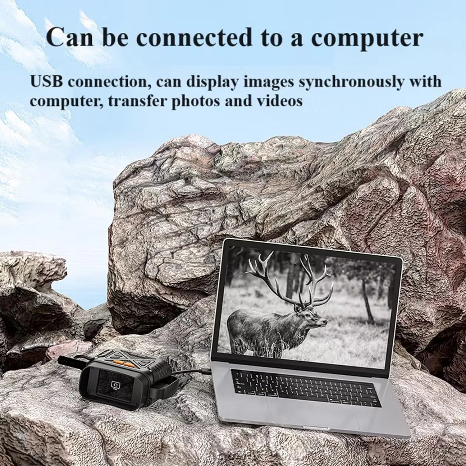 Laptop displaying a deer image on a rocky landscape with text about USB connection and photo/video transfer.