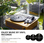 Brivona Record Player