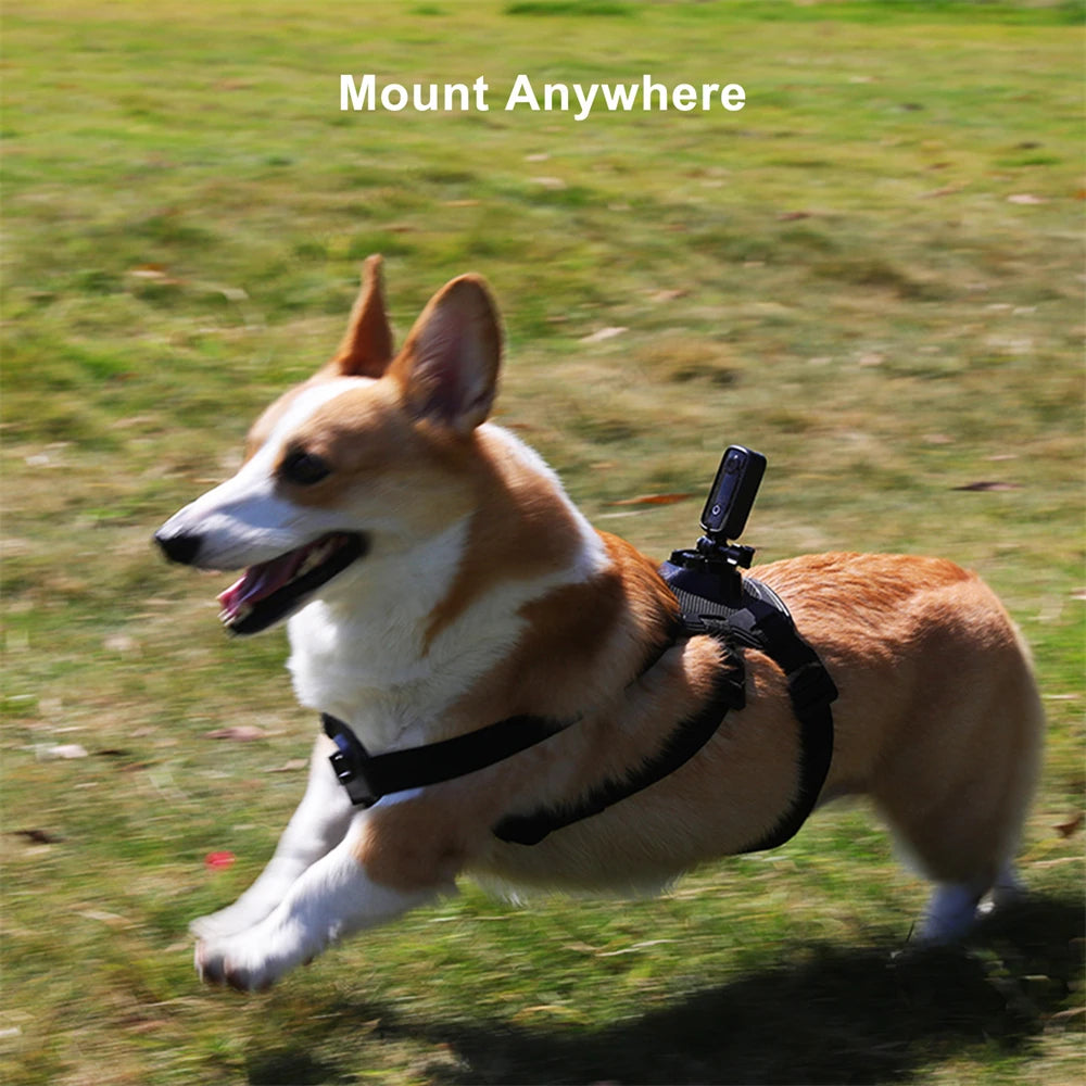 SJCAM C100+ Action Camera 4K