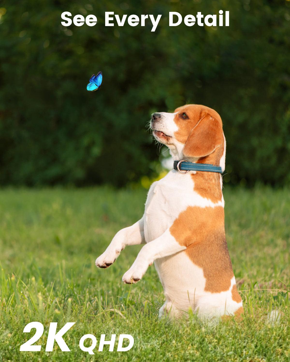 Aosu SolarCam D1 Classic