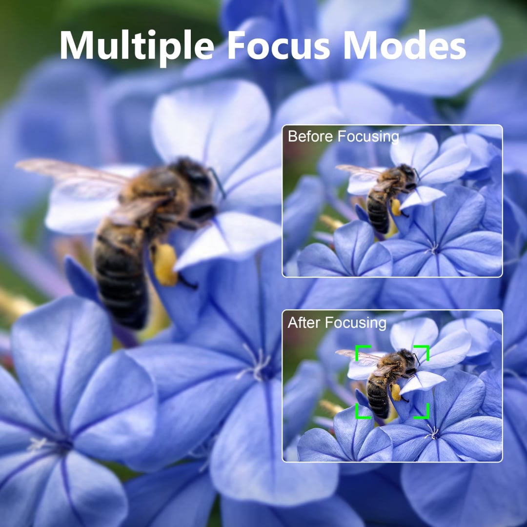 Bees on blue flowers with 'Multiple Focus Modes' text and inset showing before and after focusing.