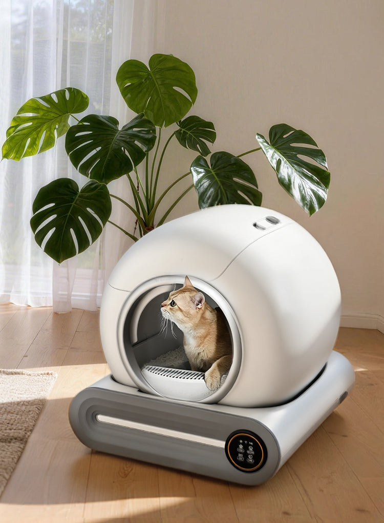 Cortelec SmartSphere Lettiera Autopulente - ritratto apertura design elegante e funzionale