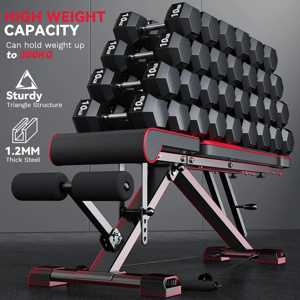 Set of dumbbells and Elarvo Weight Bench with text highlighting capacity and features on a dark background