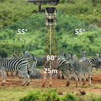 Evoluir Trail Camera in a natural setting with zebras and labeled angles and distances.