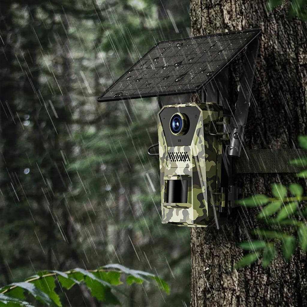 Camouflage Evoluir Trail Camera attached to a tree in a forest setting with rain.
