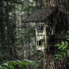 Camouflage Evoluir Trail Camera attached to a tree in a forest setting with rain.
