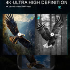 Eagle in flight with 4K ultra HD text overlay