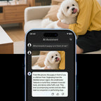 Person holding a white dog with an AI assistant app on a smartphone displaying dog breed information.