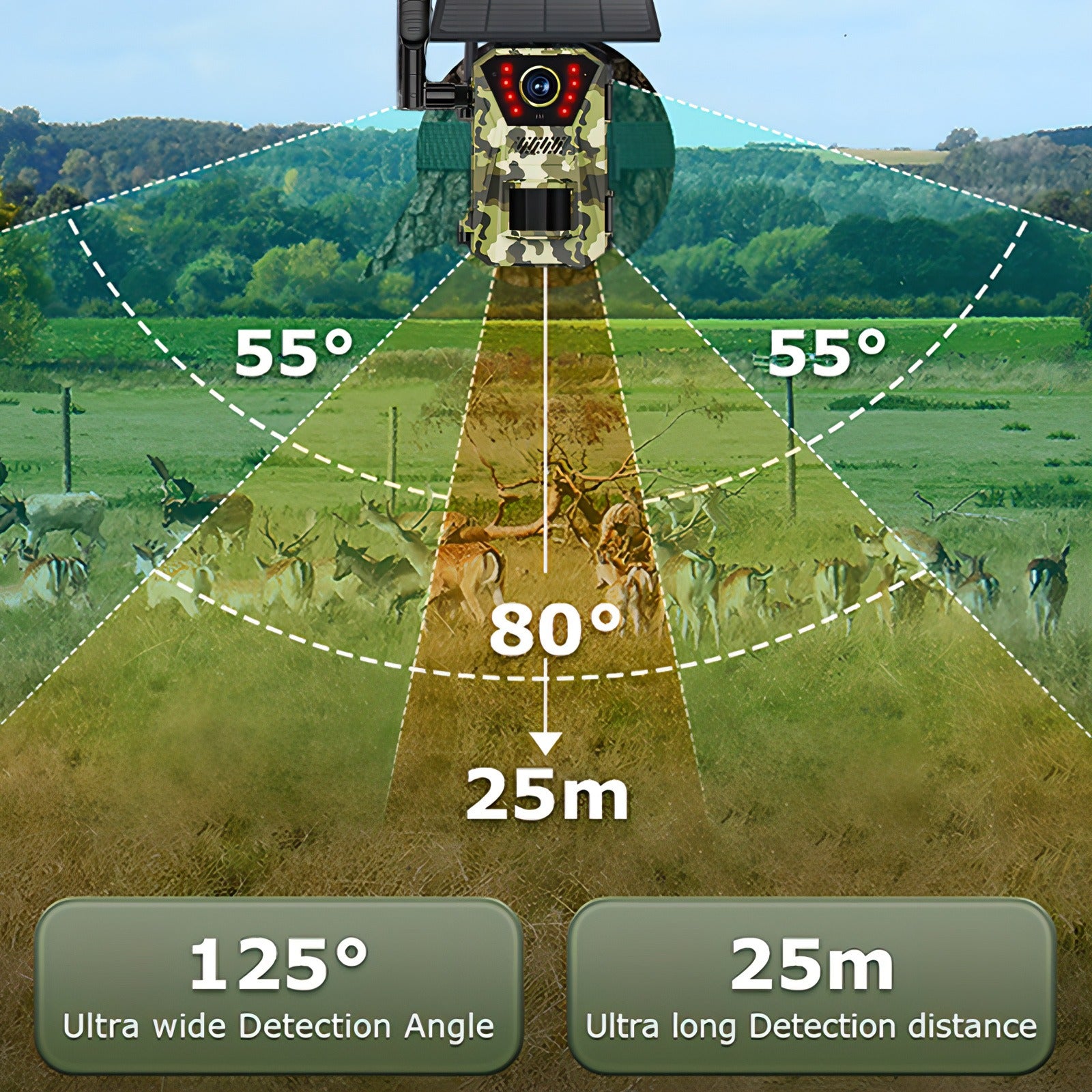 Keovy Wildlife Camera trap with detection angles and distances displayed in a field with deer.