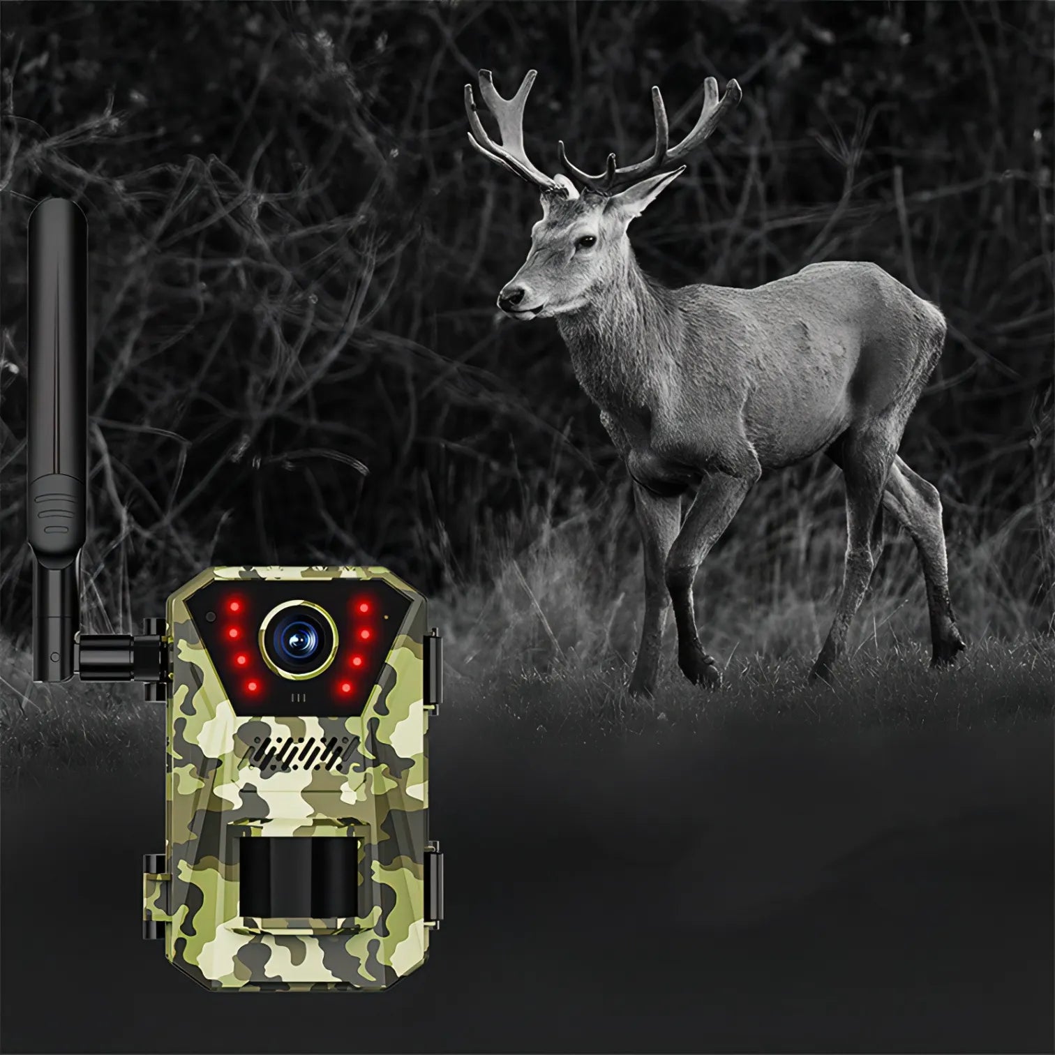 Korons Wildlife Camera with a deer in the background