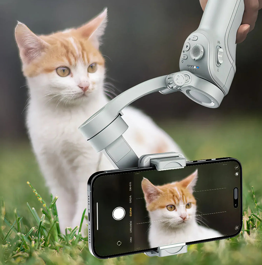 Cat being filmed with a smartphone and Kozenix Gimbal in an outdoor setting