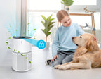 Child and dog sitting on a floor with an Krona Air Purifiers in the foreground