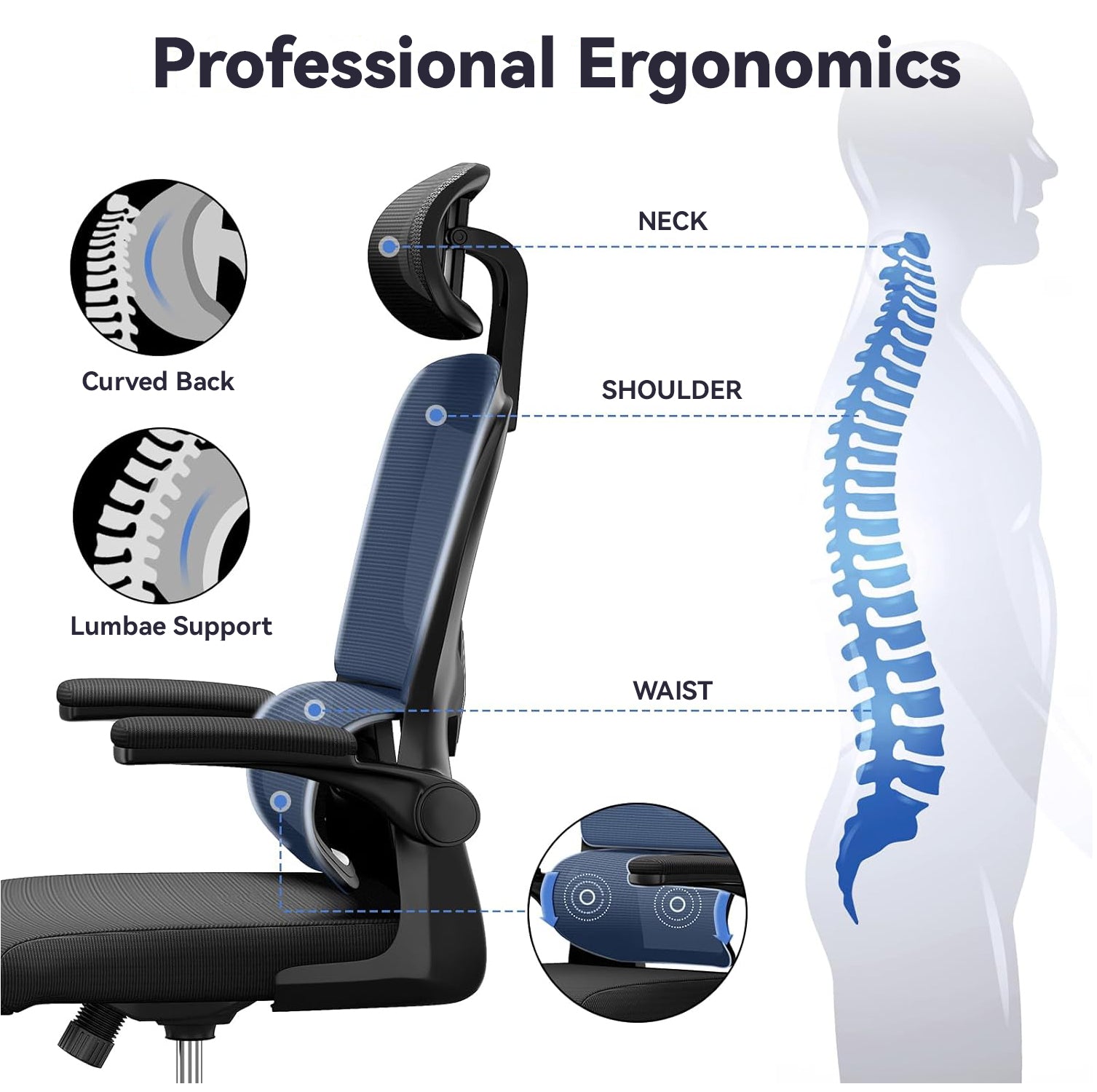 Ocanvas Office Chair with highlighted features and a human silhouette showing spinal alignment.