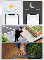 Collage of a smartphone app interface, a person with a package, and a dog on a leash.