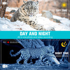 Snow leopard in day and night modes with camera interface elements.