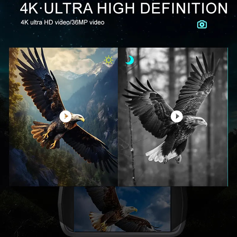 Eagle in flight with 4K ultra HD text overlay
