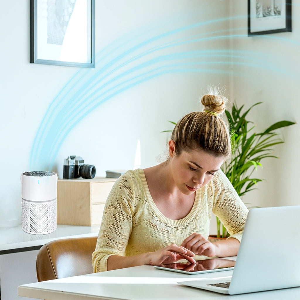 Woman using a laptop with an Vorthic Air Purifier in the background