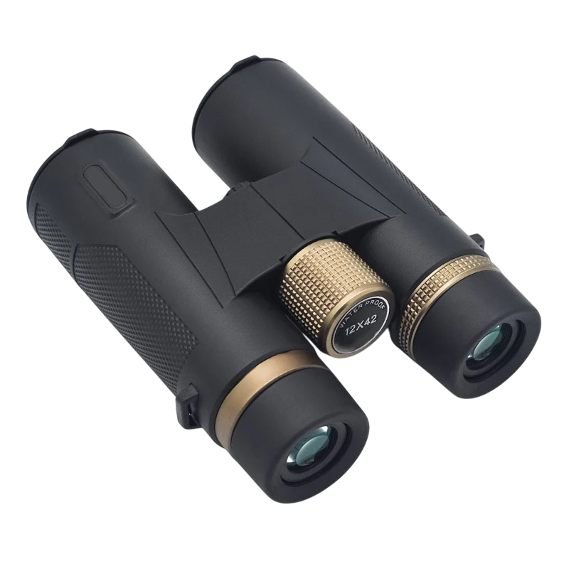 Black and gold WildiView Binoculars on a white background