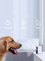 Ocanvas Security Camera