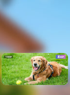 Ocanvas Security Camera
