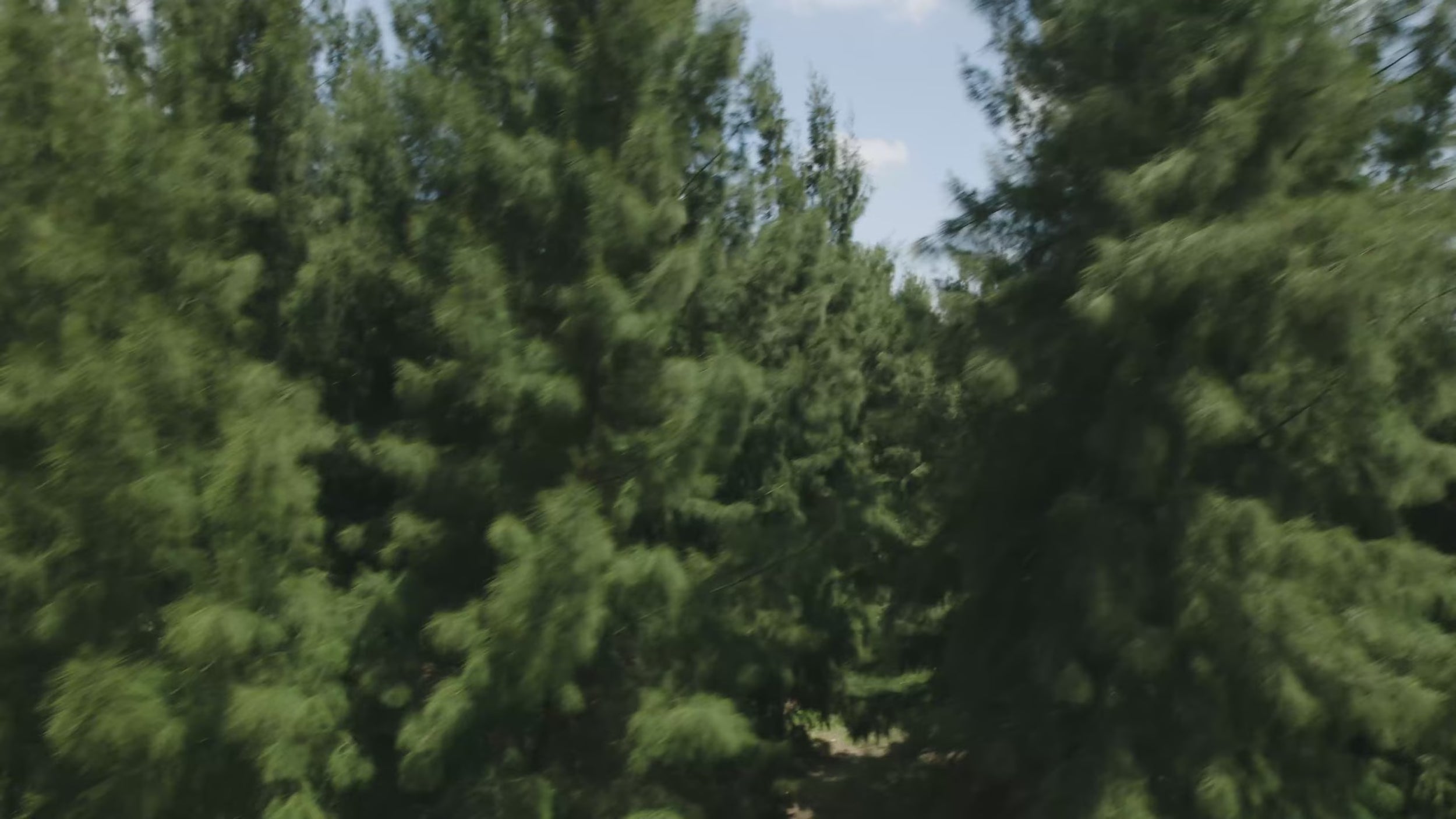 Caracen V168 Pro Max