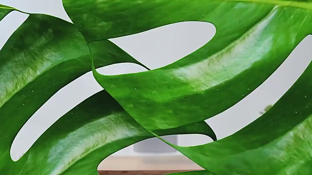 Veoair Air7 Purifier