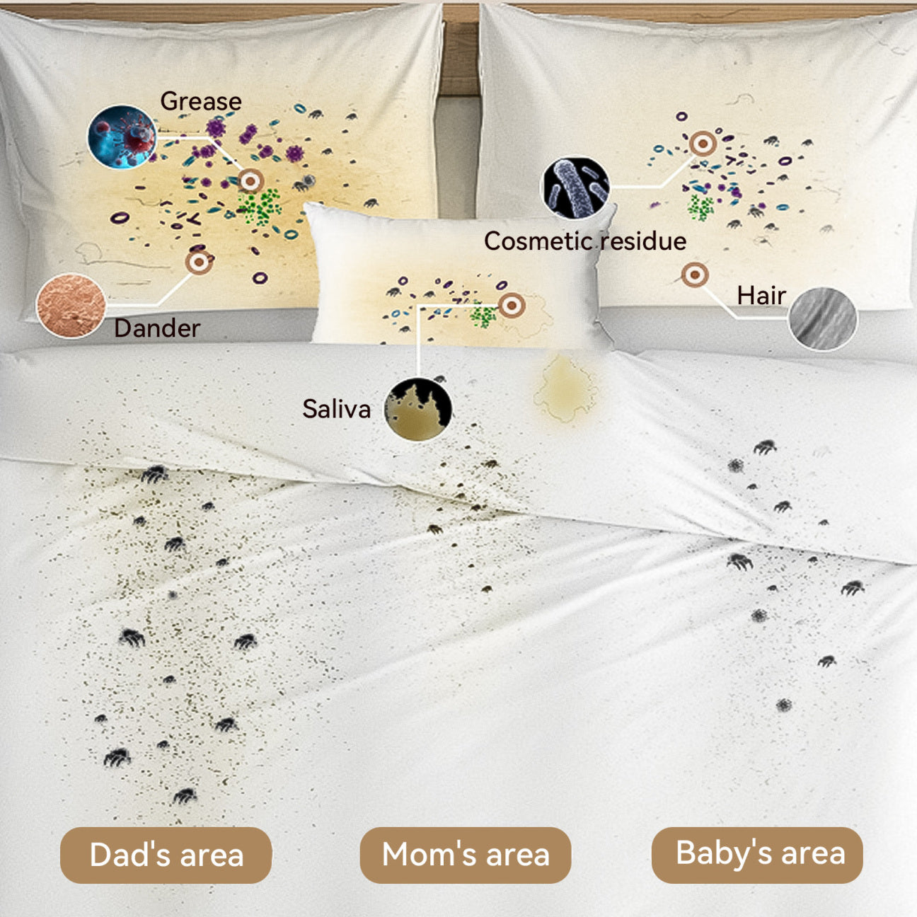Illustration of a pillowcase with various contaminants labeled, including grease, cosmetic residue, hair, dander, saliva, and areas labeled for 'Dad's', 'Mom's', and 'Baby's' zones.